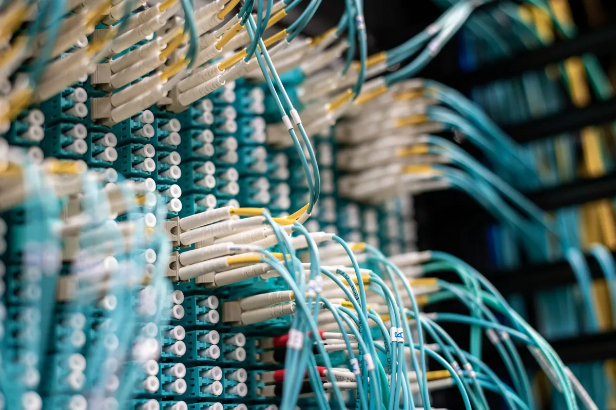 Rows of network cables plugged into servers in a data centre.